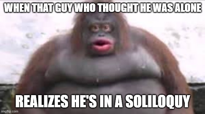  WHEN THAT GUY WHO THOUGHT HE WAS ALONE; REALIZES HE'S IN A SOLILOQUY | image tagged in when you realize | made w/ Imgflip meme maker