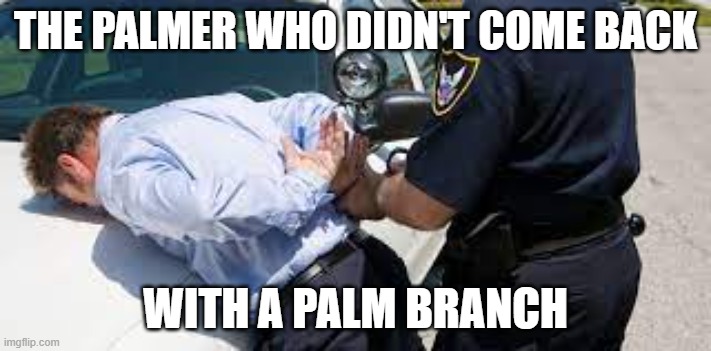 He didn't come back with a palm branch | THE PALMER WHO DIDN'T COME BACK; WITH A PALM BRANCH | image tagged in when you | made w/ Imgflip meme maker