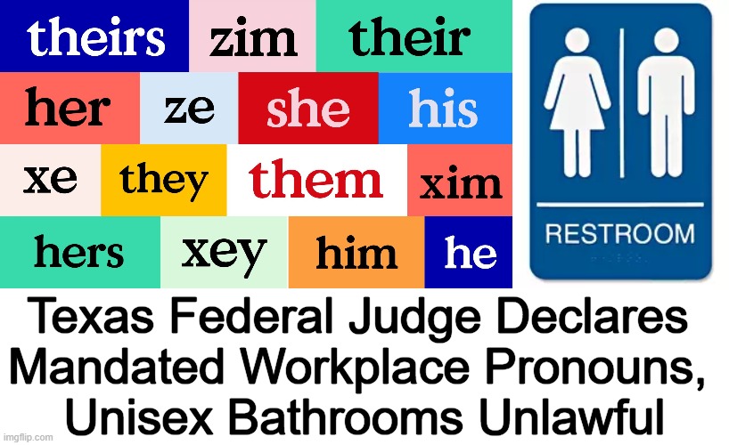 Gee, Finally a REAL Judge & Not a Woke Leftist Judge Making It Up As He Goes.... | Texas Federal Judge Declares 
Mandated Workplace Pronouns, 
Unisex Bathrooms Unlawful | image tagged in politics,liberals vs conservatives,mandates,pronouns,behavior,woke | made w/ Imgflip meme maker