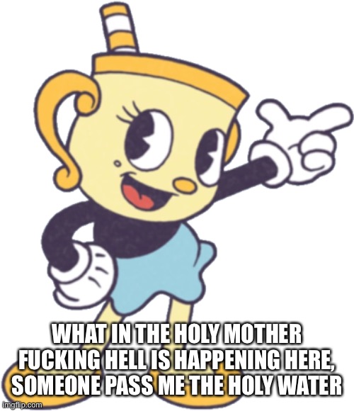 ms chalice | WHAT IN THE HOLY MOTHER FUCKING HELL IS HAPPENING HERE, SOMEONE PASS ME THE HOLY WATER | image tagged in ms chalice | made w/ Imgflip meme maker