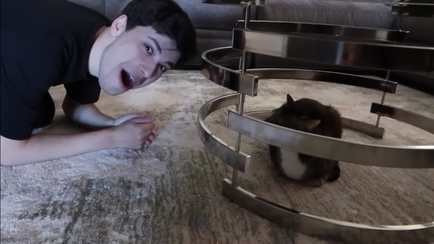 George meets Dreams cat | image tagged in george meets dreams cat | made w/ Imgflip meme maker