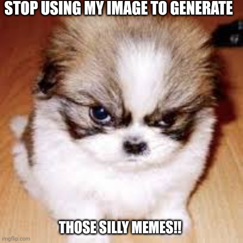 grumpy cats runner up, grumpy dog... | STOP USING MY IMAGE TO GENERATE; THOSE SILLY MEMES!! | image tagged in grumpy cats runner up grumpy dog | made w/ Imgflip meme maker