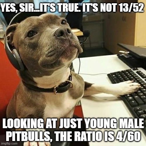 cuz mostly young males are the perps | YES, SIR...IT'S TRUE. IT'S NOT 13/52; LOOKING AT JUST YOUNG MALE PITBULLS, THE RATIO IS 4/60 | image tagged in pit bull tech support | made w/ Imgflip meme maker