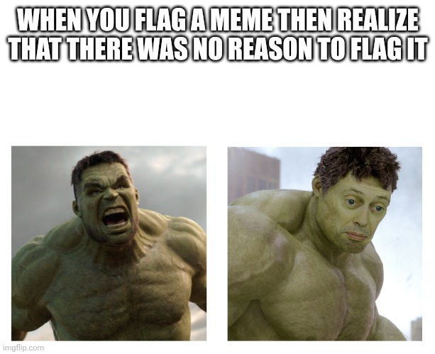 Hulk angry then realizes he's wrong | WHEN YOU FLAG A MEME THEN REALIZE THAT THERE WAS NO REASON TO FLAG IT | image tagged in hulk angry then realizes he's wrong | made w/ Imgflip meme maker