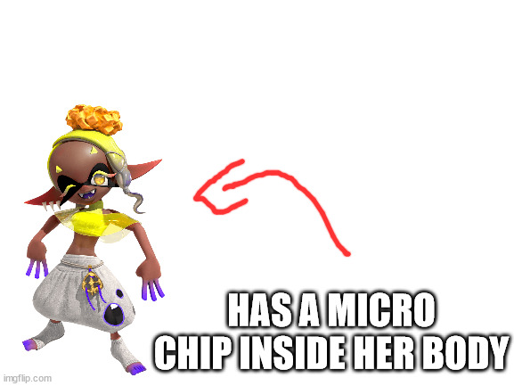 :zad: | HAS A MICRO CHIP INSIDE HER BODY | image tagged in blank white template | made w/ Imgflip meme maker