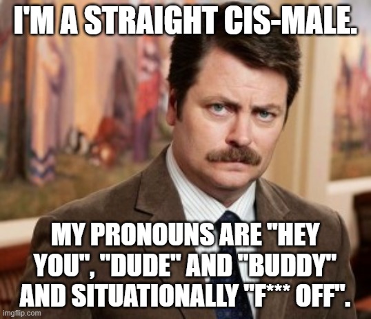 Like I'ma let Warikoze have all the fun... | I'M A STRAIGHT CIS-MALE. MY PRONOUNS ARE "HEY YOU", "DUDE" AND "BUDDY" AND SITUATIONALLY "F*** OFF". | image tagged in memes,ron swanson | made w/ Imgflip meme maker
