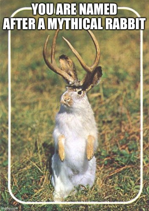 Jackalope | YOU ARE NAMED AFTER A MYTHICAL RABBIT | image tagged in jackalope | made w/ Imgflip meme maker