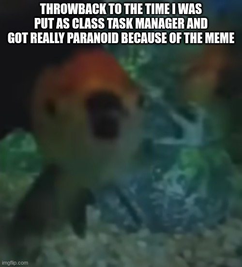 fishler | THROWBACK TO THE TIME I WAS PUT AS CLASS TASK MANAGER AND GOT REALLY PARANOID BECAUSE OF THE MEME | image tagged in fishler | made w/ Imgflip meme maker