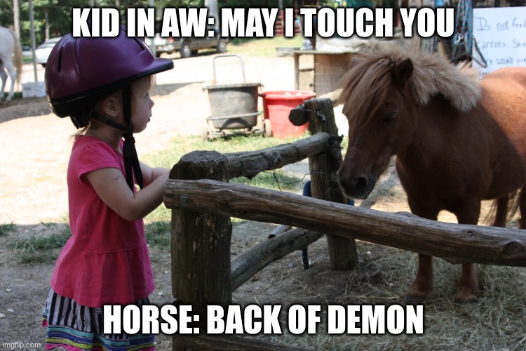 Kid in Aw | KID IN AW: MAY I TOUCH YOU; HORSE: BACK OF DEMON | image tagged in lol so funny | made w/ Imgflip meme maker