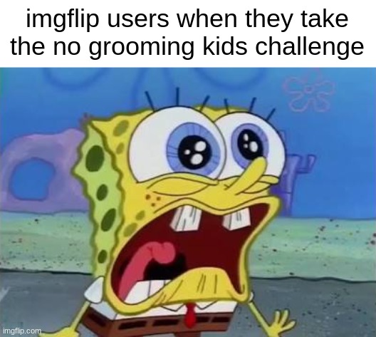 Spongebob crying/screaming | imgflip users when they take the no grooming kids challenge | image tagged in spongebob crying/screaming | made w/ Imgflip meme maker
