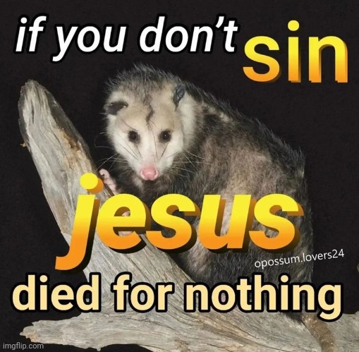 image tagged in possum,jesus,jesus christ,god,christianity | made w/ Imgflip meme maker