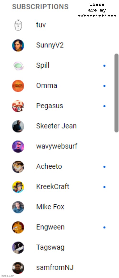 Some of the channels I like that I'm subscribed to. | These are my subscriptions | image tagged in subscribe | made w/ Imgflip meme maker