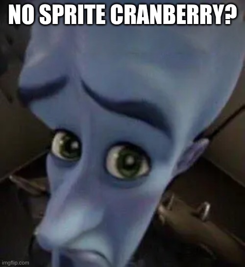 megamind no b | NO SPRITE CRANBERRY? | image tagged in megamind no b | made w/ Imgflip meme maker