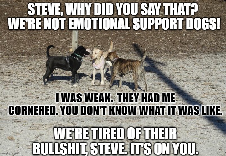 STEVE, WHY DID YOU SAY THAT?  WE'RE NOT EMOTIONAL SUPPORT DOGS! I WAS WEAK.  THEY HAD ME CORNERED. YOU DON'T KNOW WHAT IT WAS LIKE. WE'RE TIRED OF THEIR BULLSHIT, STEVE. IT'S ON YOU. | made w/ Imgflip meme maker