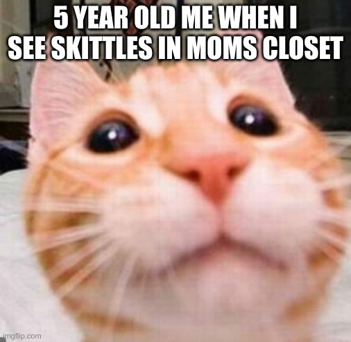 This is true... what happened is in the comments |  5 YEAR OLD ME WHEN I SEE SKITTLES IN MOMS CLOSET | image tagged in funny cats,lol,skittles | made w/ Imgflip meme maker