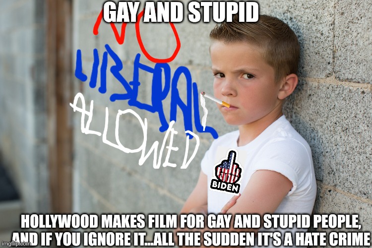 GAY AND STUPID HOLLYWOOD MAKES FILM FOR GAY AND STUPID PEOPLE, AND IF YOU IGNORE IT...ALL THE SUDDEN IT'S A HATE CRIME | made w/ Imgflip meme maker