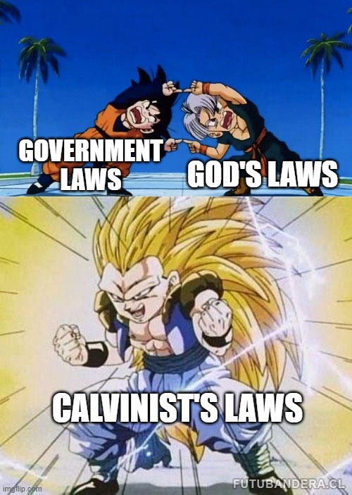 Calvinist's law (Unfunny Religious meme) | GOD'S LAWS; GOVERNMENT LAWS; CALVINIST'S LAWS | image tagged in dbz fusion | made w/ Imgflip meme maker