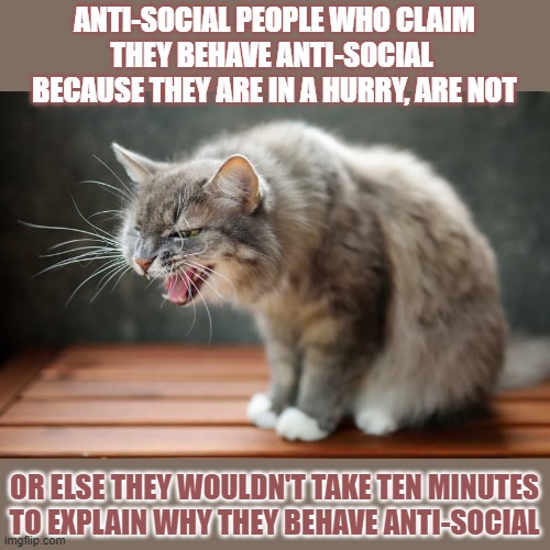 This #lolcat wonders if people know it's silly to say you're in a hurry when you're not | ANTI-SOCIAL PEOPLE WHO CLAIM
THEY BEHAVE ANTI-SOCIAL 
BECAUSE THEY ARE IN A HURRY, ARE NOT; OR ELSE THEY WOULDN'T TAKE TEN MINUTES
TO EXPLAIN WHY THEY BEHAVE ANTI-SOCIAL | image tagged in anti-social,lolcat,think about it,silly,hurry | made w/ Imgflip meme maker