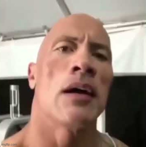 Rock Eyebrow Meme | image tagged in rock eyebrow meme | made w/ Imgflip meme maker