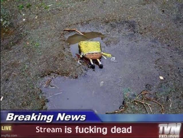 _______ Stream is fucking dead | image tagged in _______ stream is fucking dead | made w/ Imgflip meme maker