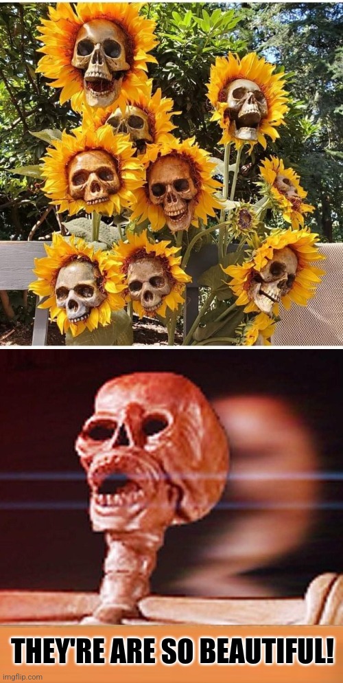 SPOOKY FLOWERS | THEY'RE ARE SO BEAUTIFUL! | image tagged in flowers,spooky,skulls | made w/ Imgflip meme maker
