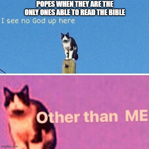 "Godly" Popes (unfunny religious memes) | POPES WHEN THEY ARE THE ONLY ONES ABLE TO READ THE BIBLE | image tagged in hail pole cat | made w/ Imgflip meme maker