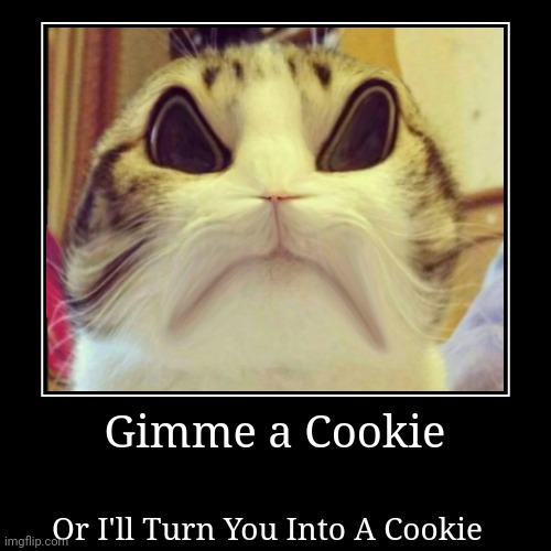Angry Cat | image tagged in funny,demotivationals | made w/ Imgflip demotivational maker