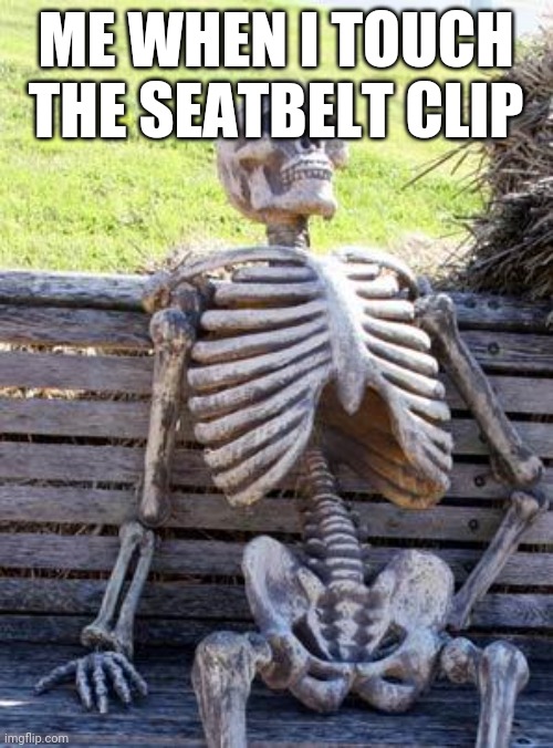 Waiting Skeleton | ME WHEN I TOUCH THE SEATBELT CLIP | image tagged in memes,waiting skeleton | made w/ Imgflip meme maker