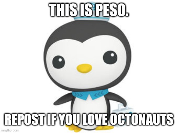 Repost if you do! | THIS IS PESO. REPOST IF YOU LOVE OCTONAUTS | image tagged in peso | made w/ Imgflip meme maker