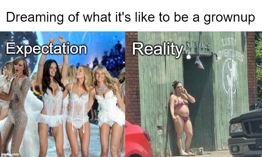 TV tricked a lot of us | Dreaming of what it's like to be a grownup; Expectation; Reality | made w/ Imgflip meme maker