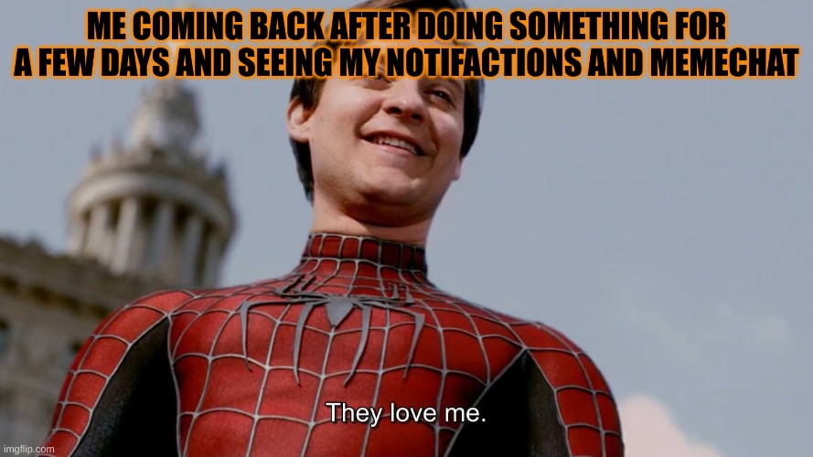 They Love Me | ME COMING BACK AFTER DOING SOMETHING FOR A FEW DAYS AND SEEING MY NOTIFICATION AND MEMECHAT | image tagged in they love me | made w/ Imgflip meme maker