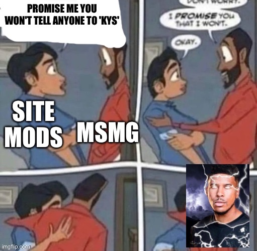 promise me you wont blank | PROMISE ME YOU WON'T TELL ANYONE TO 'KYS'; MSMG; SITE MODS | image tagged in promise me you wont blank | made w/ Imgflip meme maker