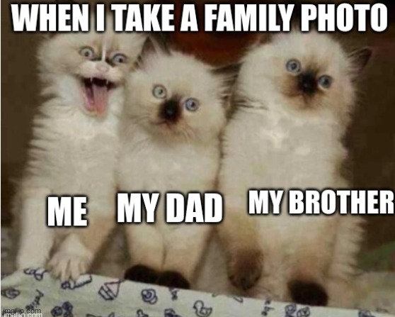 Me when I take Photos | image tagged in funny cats | made w/ Imgflip meme maker