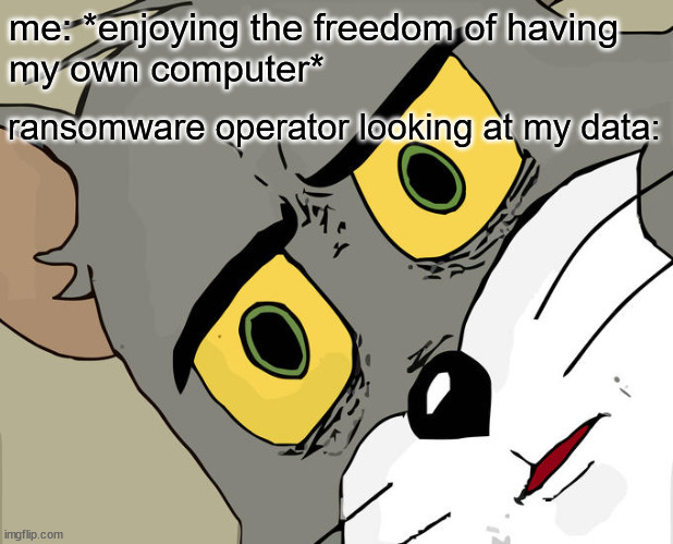 One reason to encrypt your data | me: *enjoying the freedom of having 
my own computer*; ransomware operator looking at my data: | image tagged in memes,unsettled tom | made w/ Imgflip meme maker