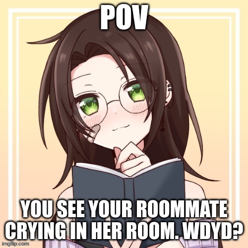 Romance RP, no joke or bambi OCs, no ERP, no killing her and no military OCs. | POV; YOU SEE YOUR ROOMMATE CRYING IN HER ROOM. WDYD? | made w/ Imgflip meme maker