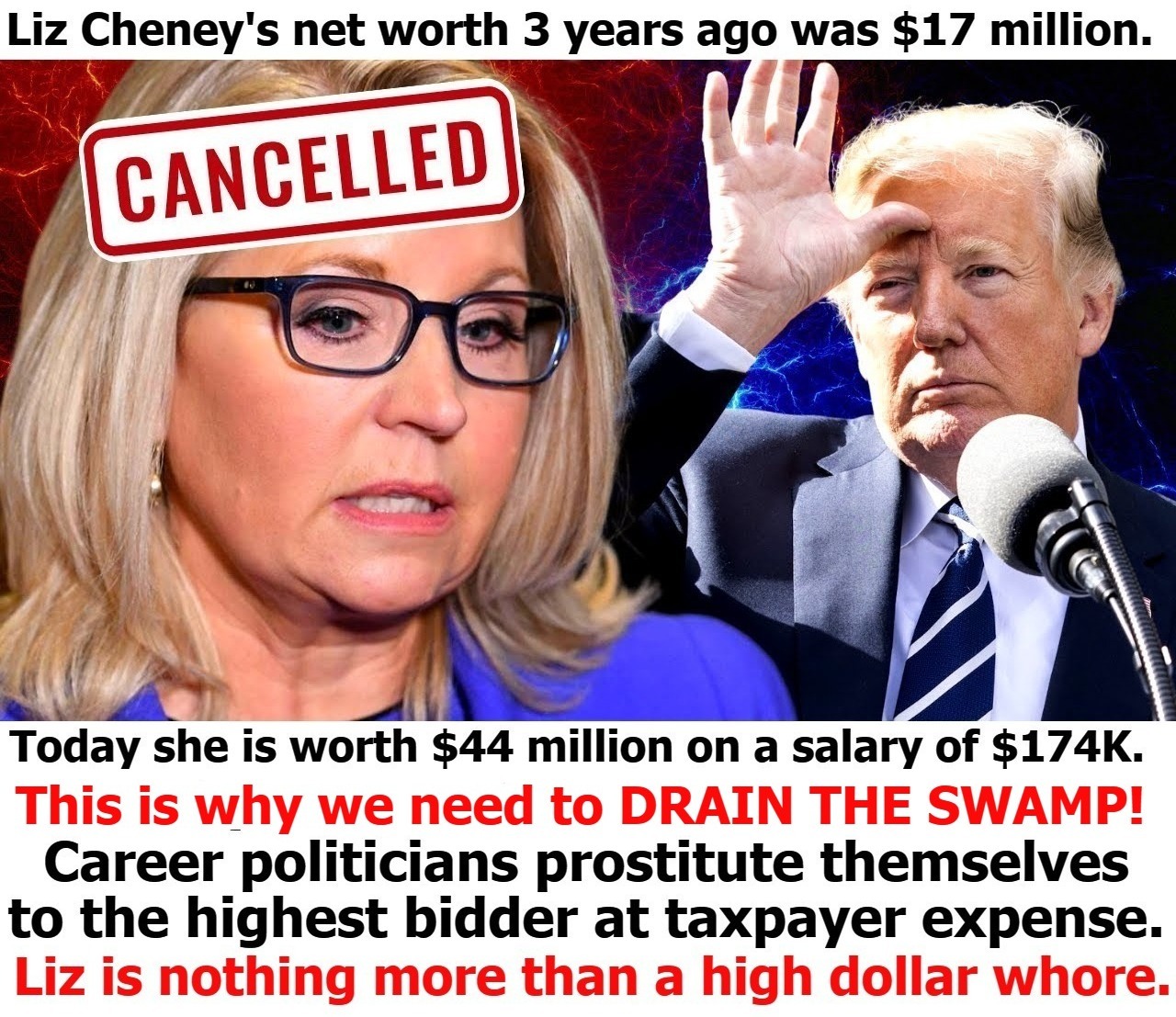 This is why we need to DRAIN THE SWAMP! | image tagged in liz cheney,political prostitute,prostitute,whore,joe and the hoe,cheap trick | made w/ Imgflip meme maker
