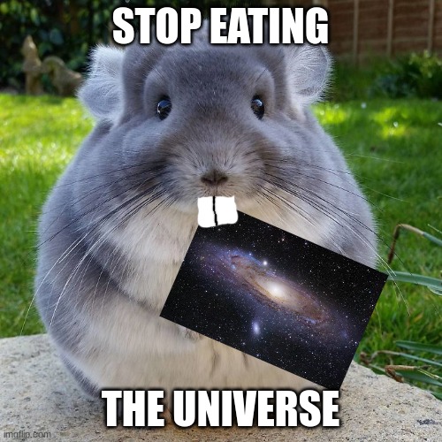 Come through Chinchilla | STOP EATING THE UNIVERSE | image tagged in come through chinchilla | made w/ Imgflip meme maker