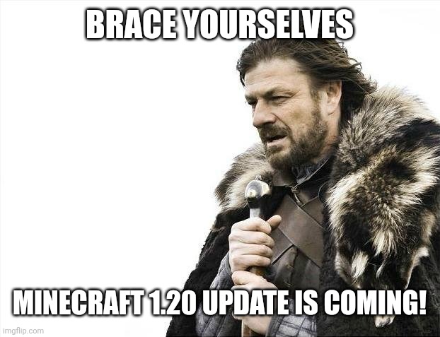 Minecraft 1.20 is coming | BRACE YOURSELVES; MINECRAFT 1.20 UPDATE IS COMING! | image tagged in memes,brace yourselves x is coming,minecraft,minecraft memes,funny | made w/ Imgflip meme maker