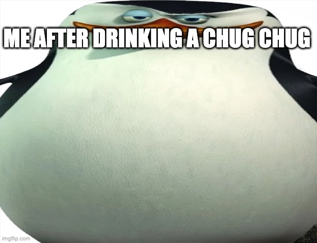ME AFTER DRINKING A CHUG CHUG | image tagged in penguin | made w/ Imgflip meme maker