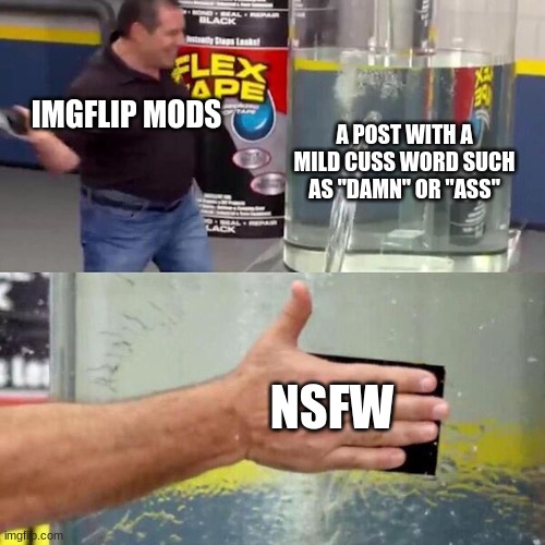 this better not be marked i swear | IMGFLIP MODS; A POST WITH A MILD CUSS WORD SUCH AS "DAMN" OR "ASS"; NSFW | image tagged in phil swift slapping on flex tape | made w/ Imgflip meme maker