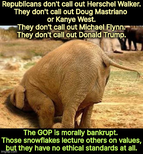 Elephant hypocrisy | Republicans don't call out Herschel Walker.
They don't call out Doug Mastriano 
or Kanye West.
They don't call out Michael Flynn.
They don't call out Donald Trump. The GOP is morally bankrupt. 
Those snowflakes lecture others on values, but they have no ethical standards at all. | image tagged in gop,republican,hypocrites,ethics,morals,vacuum | made w/ Imgflip meme maker