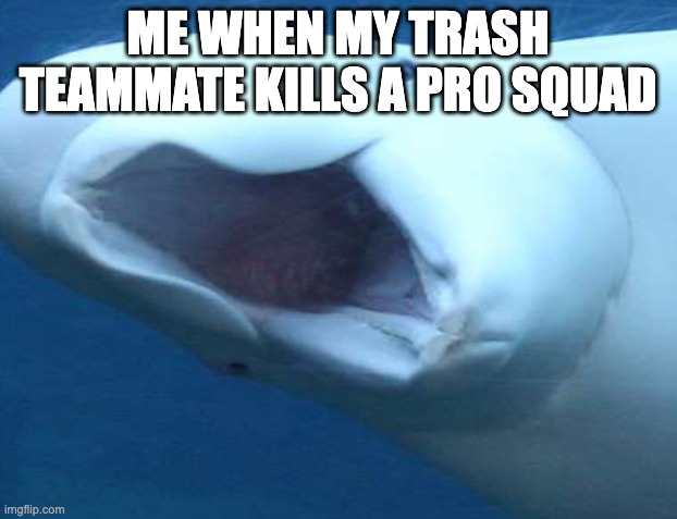 ME WHEN MY TRASH TEAMMATE KILLS A PRO SQUAD | image tagged in fortnite memes | made w/ Imgflip meme maker