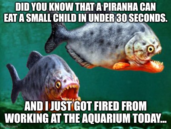 piranha | DID YOU KNOW THAT A PIRANHA CAN EAT A SMALL CHILD IN UNDER 30 SECONDS. AND I JUST GOT FIRED FROM WORKING AT THE AQUARIUM TODAY... | image tagged in piranha | made w/ Imgflip meme maker