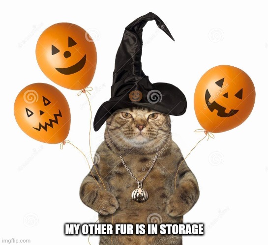 My other fur is in storage | MY OTHER FUR IS IN STORAGE | image tagged in happy halloween | made w/ Imgflip meme maker