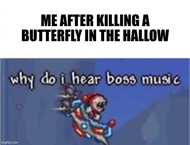 why do i hear boss music | ME AFTER KILLING A BUTTERFLY IN THE HALLOW | image tagged in why do i hear boss music | made w/ Imgflip meme maker