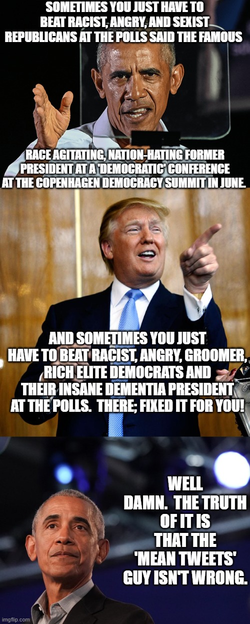 Obama KNOWS that Dementia Joe Biden and his insane radical leftists have wrecked the Dem Party. | SOMETIMES YOU JUST HAVE TO BEAT RACIST, ANGRY, AND SEXIST REPUBLICANS AT THE POLLS SAID THE FAMOUS; RACE AGITATING, NATION-HATING FORMER PRESIDENT AT A 'DEMOCRATIC' CONFERENCE AT THE COPENHAGEN DEMOCRACY SUMMIT IN JUNE. AND SOMETIMES YOU JUST HAVE TO BEAT RACIST, ANGRY, GROOMER, RICH ELITE DEMOCRATS AND THEIR INSANE DEMENTIA PRESIDENT AT THE POLLS.  THERE; FIXED IT FOR YOU! WELL DAMN.  THE TRUTH OF IT IS THAT THE 'MEAN TWEETS' GUY ISN'T WRONG. | image tagged in truth verses democrats | made w/ Imgflip meme maker