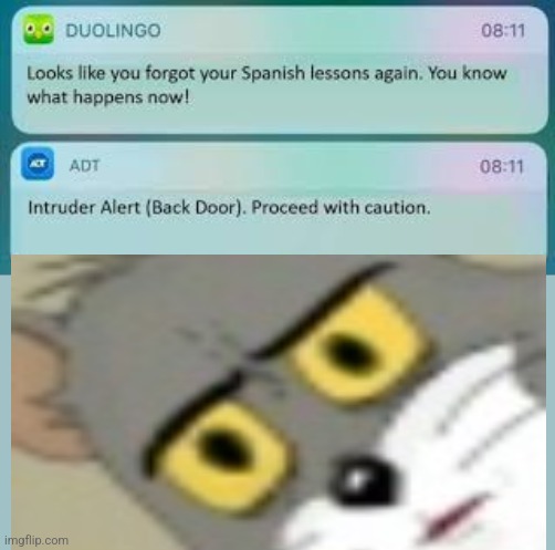 Uh oh | image tagged in duolingo text message | made w/ Imgflip meme maker