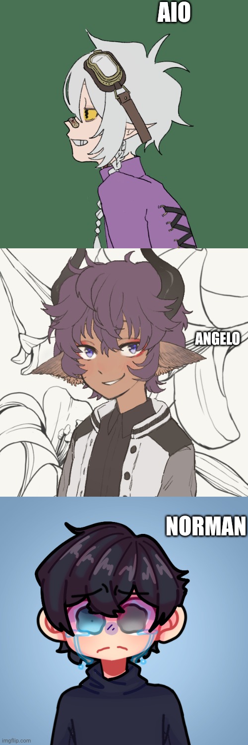 New ocs. Two husbands and their 13 year old child | AIO; ANGELO; NORMAN | made w/ Imgflip meme maker