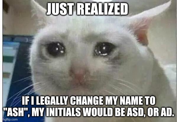 ASD as in autism spectrum disorder | JUST REALIZED; IF I LEGALLY CHANGE MY NAME TO "ASH", MY INITIALS WOULD BE ASD, OR AD. | image tagged in crying cat | made w/ Imgflip meme maker