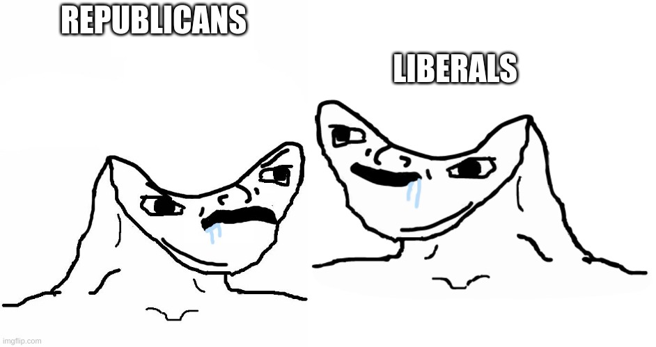 you're both stupid and i hate politics | LIBERALS; REPUBLICANS | image tagged in angry brainlet,brainlet wojak | made w/ Imgflip meme maker